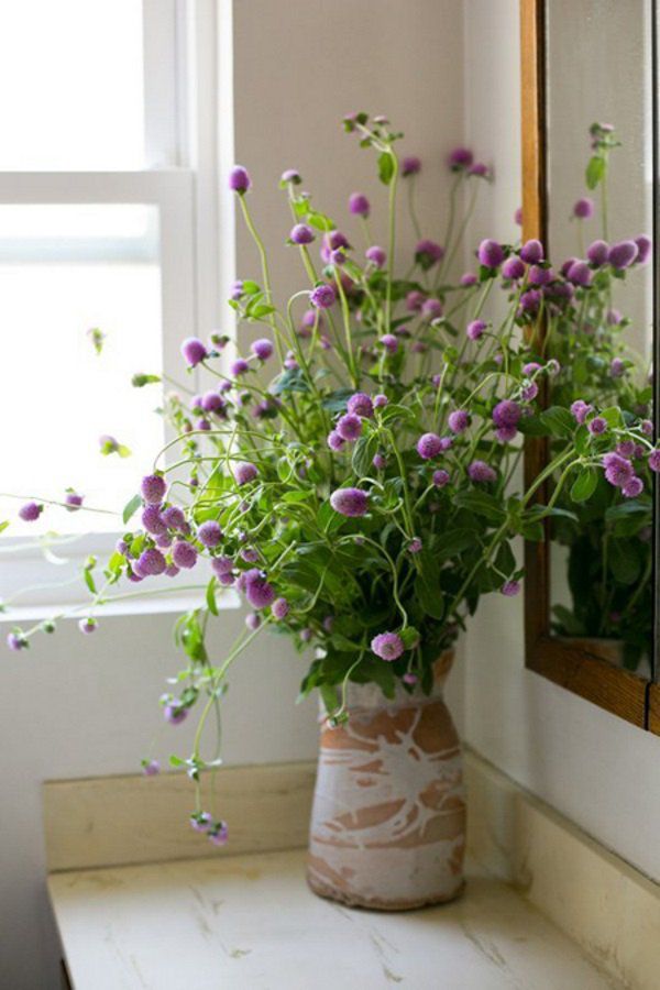 3 loại cây hoa đẹp lạ trồng được tất cả các mùa, người mới tập trồng nên thử vài chậu - 5 - kythuatcanhtac.com