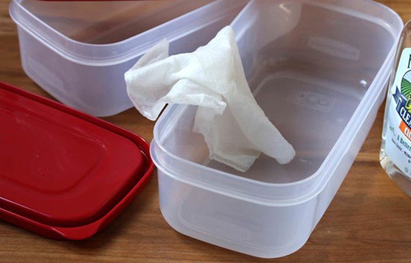 Hộp nhựa bám mỡ đừng chỉ dùng nước rửa chén, thêm vào một nhúm muối sạch gấp 10 lần - 3 - kythuatcanhtac.com