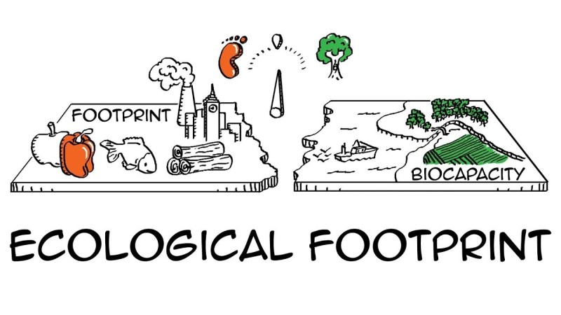 Ecological Footprint La Gi - kythuatcanhtac.com