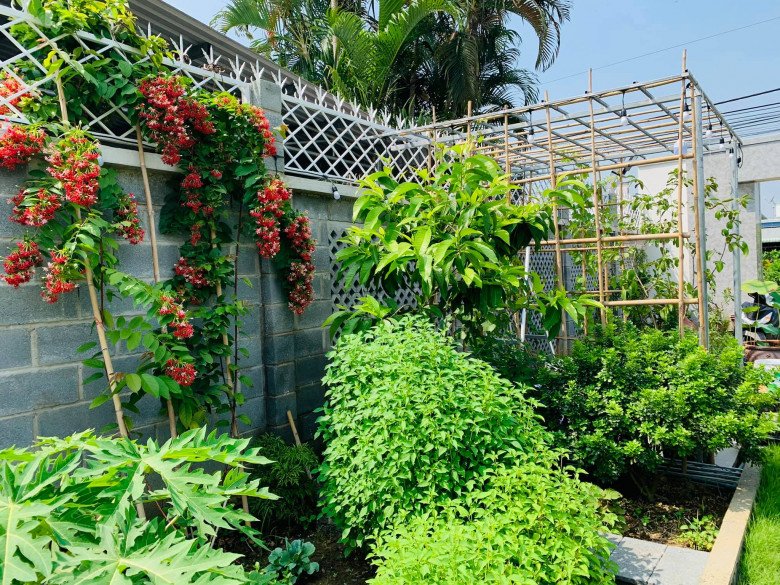Mẹ đảm Đồng Nai được chồng tặng nhà vườn 720m2, đẹp như khu du lịch - 13 - kythuatcanhtac.com