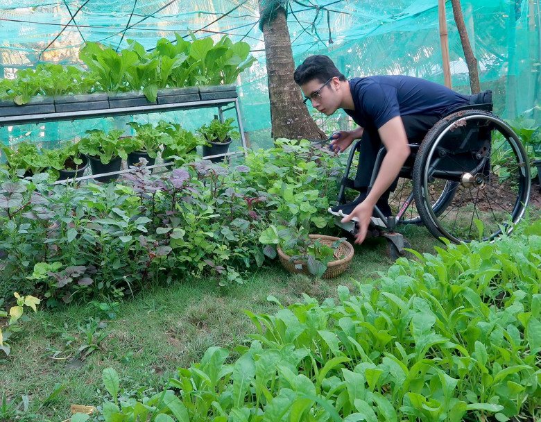 Chàng trai đi xe lăn chăm vườn 60m2, gia đình không cần mua rau, còn dư mang cho hàng xóm - 10 - kythuatcanhtac.com