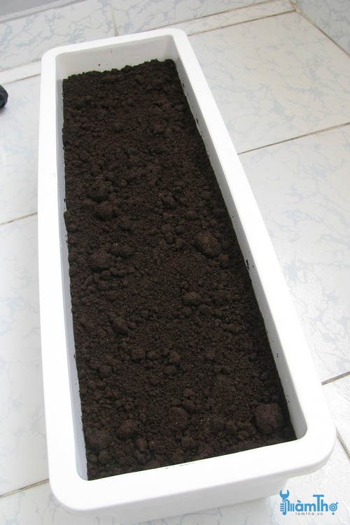 Trộn đất thêm tro trấu , xơ dừa và phân trùn quế với tỷ lệ 2 : 0,5 : 1  - kythuatcanhtac.com