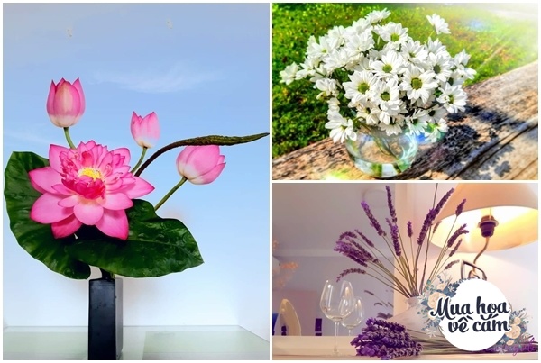 Nữ nhà báo tự mày mò cắm hoa đẹp ngất ngây, ai nhìn cũng giục: “Mở shop bán đi!” - 18 - kythuatcanhtac.com
