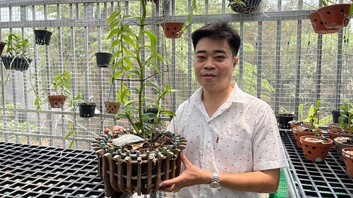 Ông chủ vườn lan 8X Nguyễn Hữu Tân và mơ ước về một vườn lan trăm loài - 1 - kythuatcanhtac.com