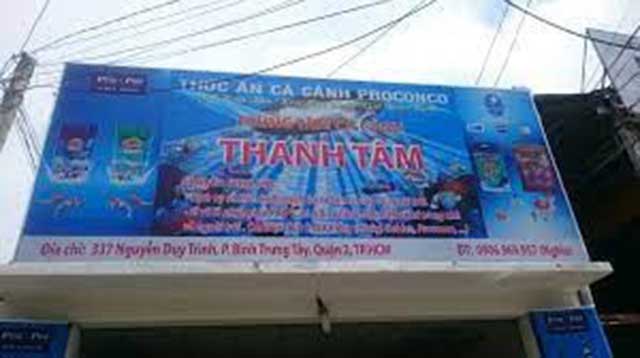 Mua cá cảnh Thanh Tâm - kythuatcanhtac.com