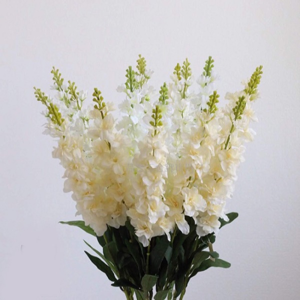 Ý nghĩa hoa Phi Yến - Cách trồng và chăm sóc loài hoa đẹp đẽ của tháng 7 - 3 - kythuatcanhtac.com