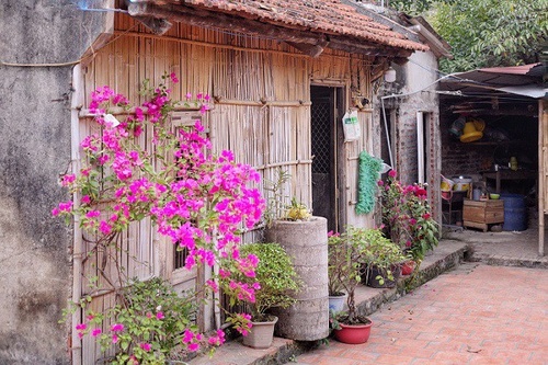 Cận cảnh nhà cổ 300 tuổi trải qua 13 đời “cha truyền con nối” ở ngoại thành Hà Nội - 5 - kythuatcanhtac.com