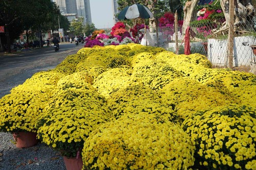 Những loại hoa Tết người Sài Gòn thường mua để mang lại tài lộc, may mắn cả năm - 13 - kythuatcanhtac.com