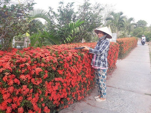 Nhà cấp 4 của ông nông dân Việt Nam nổi khắp mạng xã hội nhờ thứ không ai có - 8 - kythuatcanhtac.com