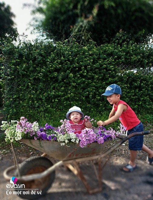 Mẹ 8X “nhặt” đồng nát về trồng hoa, sau 4 năm thành mảnh vườn cổ tích tuyệt đẹp - 12 - kythuatcanhtac.com