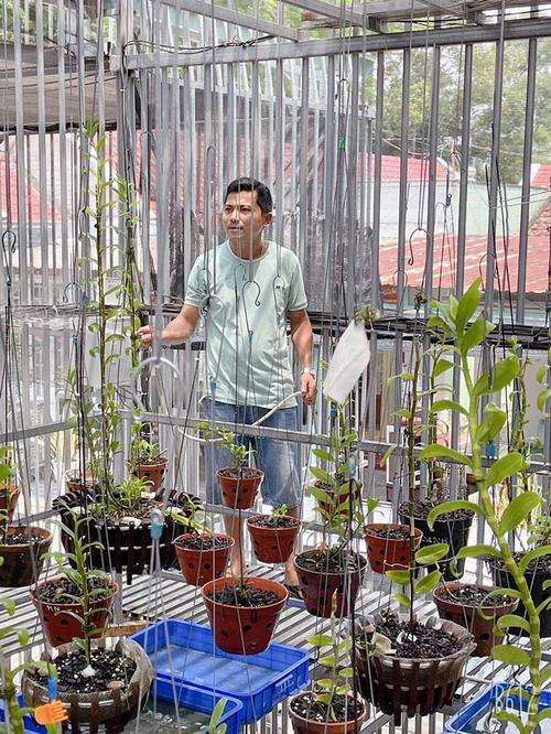 Nghệ nhân trồng lan Hà Chí Tâm - Khó khăn và đam mê là yếu tố đem đến thành công - 3 - kythuatcanhtac.com