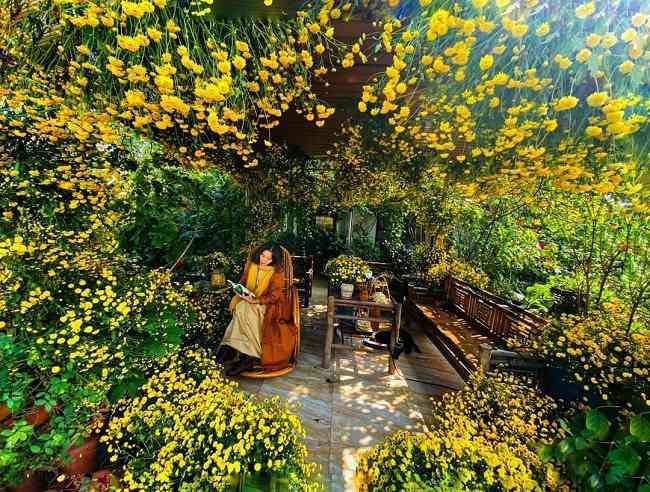 Chiêm ngưỡng khu vườn “trên mây” với chòi hoa đẹp như mơ của bà mẹ trẻ Hà thành - 10 - kythuatcanhtac.com