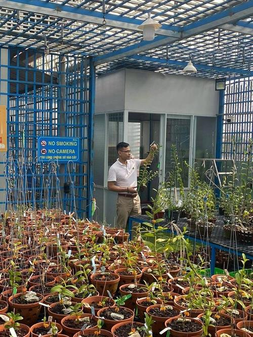Nghệ nhân Bùi Đình Chung chia sẻ thành công với mô hình trồng lan đột biến - 3 - kythuatcanhtac.com