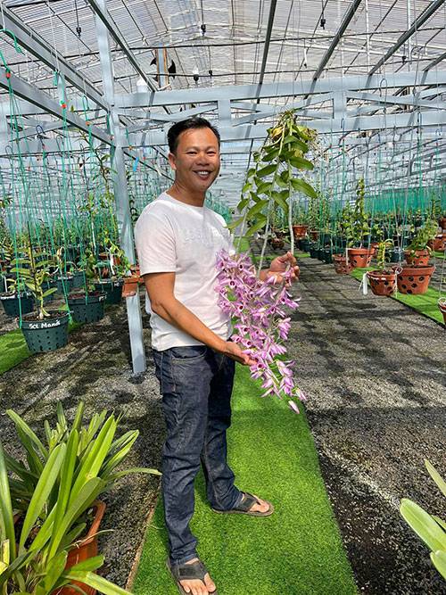 Ông chủ vườn lan Long Bảo chia sẻ về thú vui với hoa phong lan - 4 - kythuatcanhtac.com