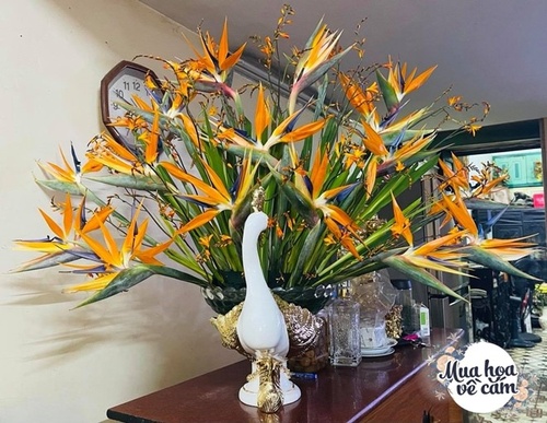 Mẹ Việt biến nhà rực sắc đón ngày 8/3, khoe muôn kiểu cắm hoa đẹp rụng rời - 1 - kythuatcanhtac.com