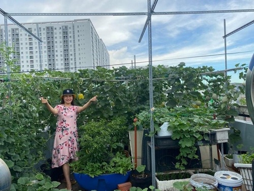Bầu bí 7 tháng, mẹ Sài Gòn vẫn còng lưng trồng rau sân thượng, thành quả ngoài mong đợi - 5 - kythuatcanhtac.com