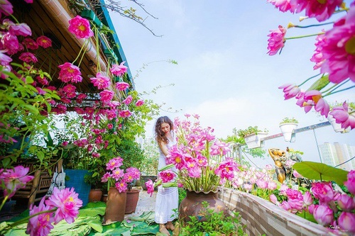 Chiêm ngưỡng khu vườn “trên mây” với chòi hoa đẹp như mơ của bà mẹ trẻ Hà thành - 8 - kythuatcanhtac.com