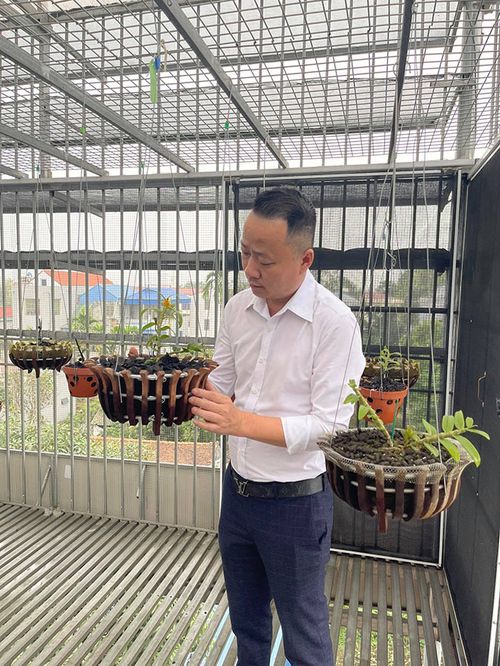 Ông chủ vườn lan Mạnh Quỳnh chia sẻ bí quyết chinh phục loài hoa vương giả - 1 - kythuatcanhtac.com