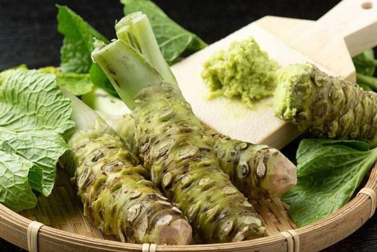 Wasabi - Loại thảo dược quý hiếm vô cùng có lợi cho sức khỏe 12 - kythuatcanhtac.com