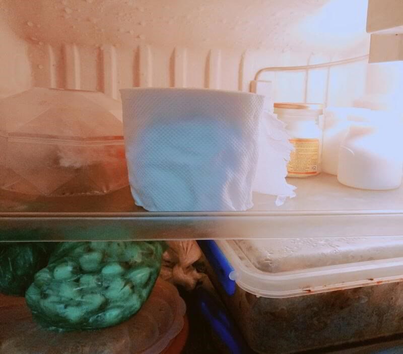 Tủ lạnh là nơi amp;#34;lao lựcamp;#34; nhất 3 ngày Tết, cho giấy vệ sinh vào có công dụng diệu kỳ - 3 - kythuatcanhtac.com