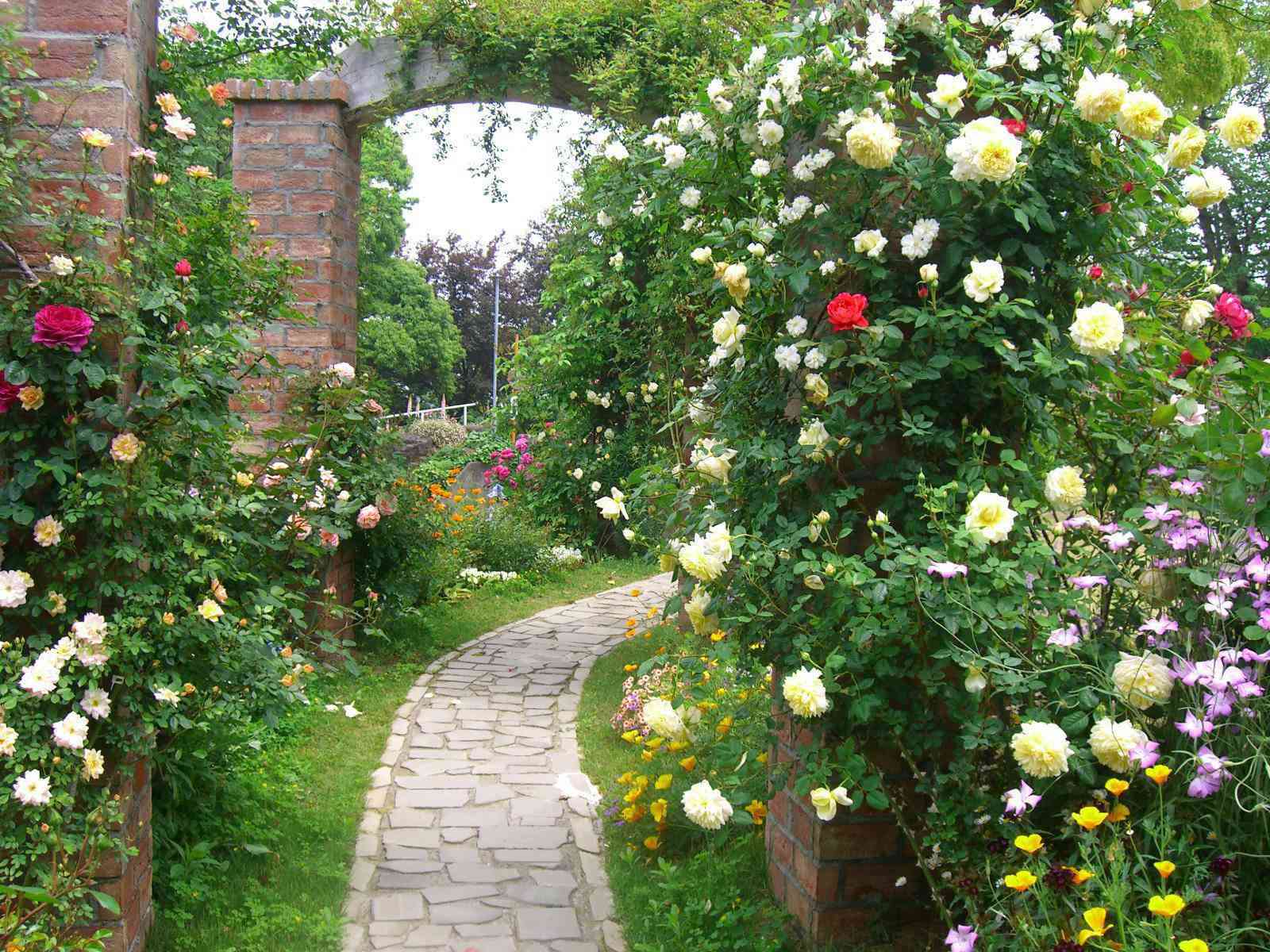 Những ngôi nhà phủ đầy hoa hồng khiến ai nhìn cũng mê - 17 - kythuatcanhtac.com