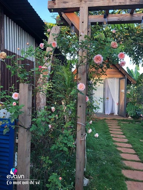Mẹ Vũng Tàu dựng nhà gỗ 15m2 làm chốn lui về, trồng 50 khóm hồng bao quanh như thiên đường - 10 - kythuatcanhtac.com