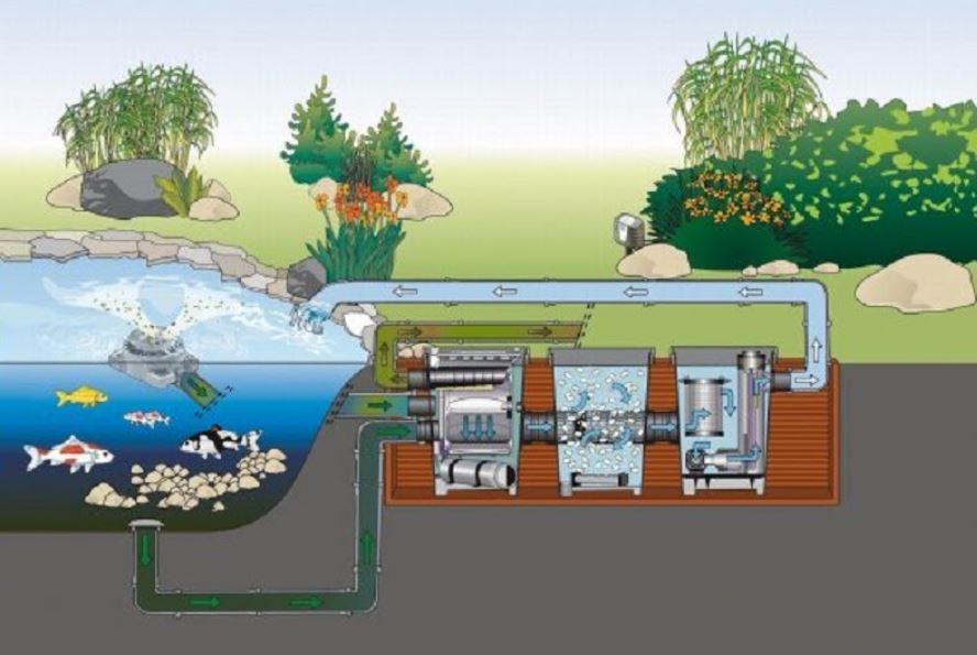 Phương thức hoạt động của hệ thống lọc nước hồ cá koi - kythuatcanhtac.com