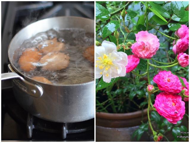 Lấy nước luộc trứng tưới cây, 7 ngày sau mẹ trẻ vỡ òa trước vườn hoa ngập sắc - kythuatcanhtac.com