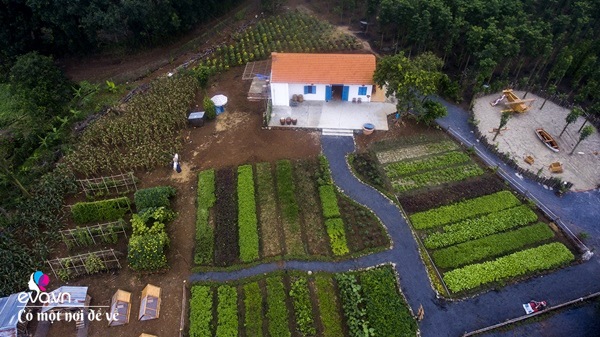 8X Sài Gòn về quê mua đất trồng rau, để bố mẹ đón tuổi già trong vườn 1 héc ta - 4 - kythuatcanhtac.com