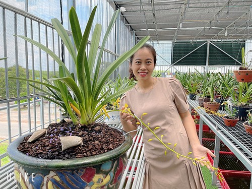 Bà chủ vườn lan trăm loài Thùy Linh chia sẻ bí quyết trồng lan - 5 - kythuatcanhtac.com