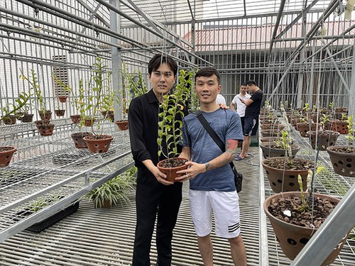 Tạ Quang Bộ chia sẻ kinh nghiệm trồng và chăm sóc lan rừng cho người mới bắt đầu chơi - 2 - kythuatcanhtac.com