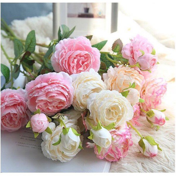 7 loại hoa đẹp hợp để phòng khách, không sớm thì muộn cũng giàu sang - 4 - kythuatcanhtac.com