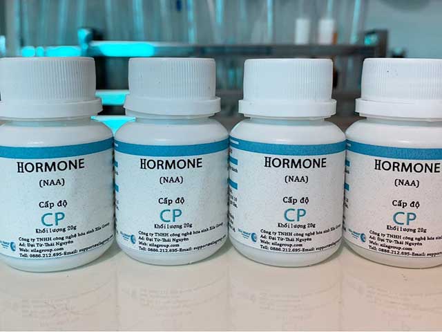 Hormone NAA - kythuatcanhtac.com