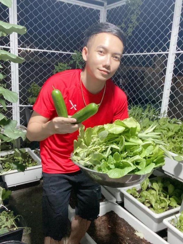 Nhà Celeb: Ca sĩ Phạm Trưởng tốn 100 triệu làm vườn, tự thu hoạch không phải đi mua - 9 - kythuatcanhtac.com