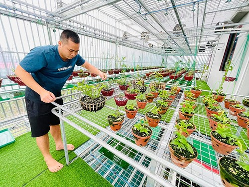 Ông chủ vườn lan Huỳnh Long chia sẻ bí quyết trồng lan thành công - 3 - kythuatcanhtac.com