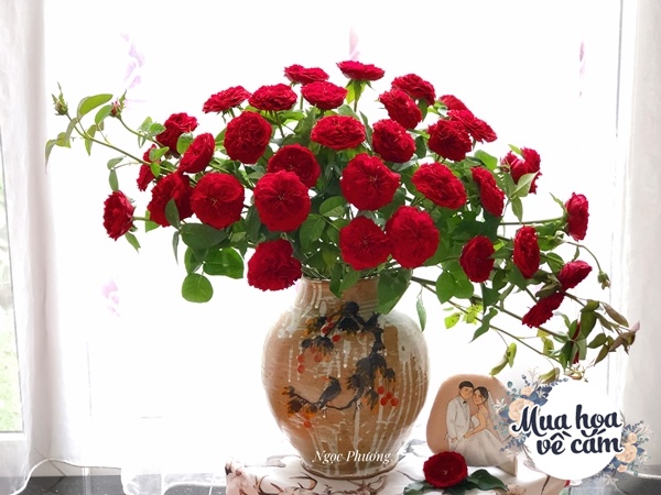 Cô giáo Hà Nội gợi ý những mẫu hoa cắm Tết siêu xinh, chắc chắn nhà nào cũng có - 17 - kythuatcanhtac.com