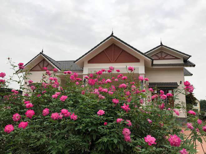 Mê mẩn vườn hồng đẹp như mơ, rộng hàng nghìn m2 của bà mẹ Hà thành - 14 - kythuatcanhtac.com