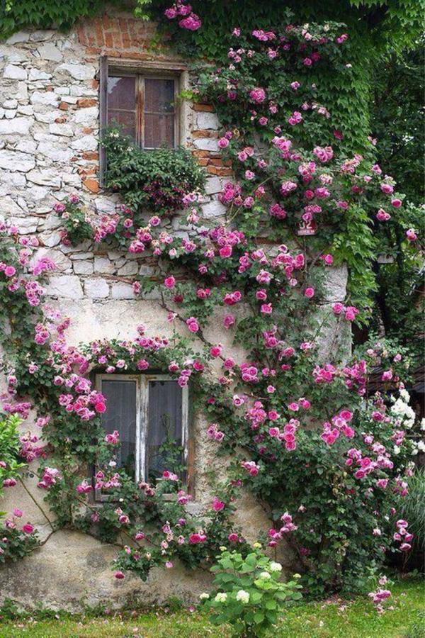 Những ngôi nhà phủ đầy hoa hồng khiến ai nhìn cũng mê - 14 - kythuatcanhtac.com