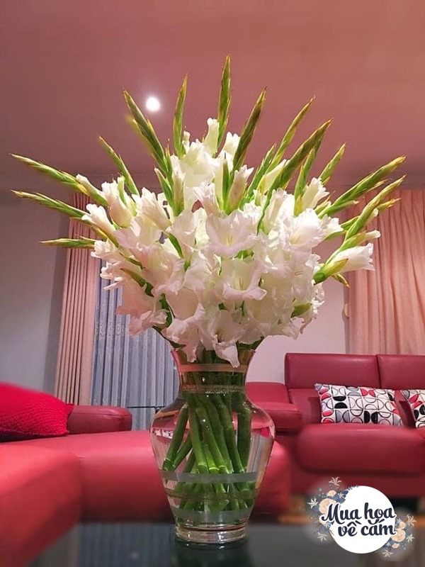 Nhìn hoa nhớ mẹ, 8X Việt ở nước ngoài cắm loại hoa chơi Tết đẹp siêu lòng - 21 - kythuatcanhtac.com