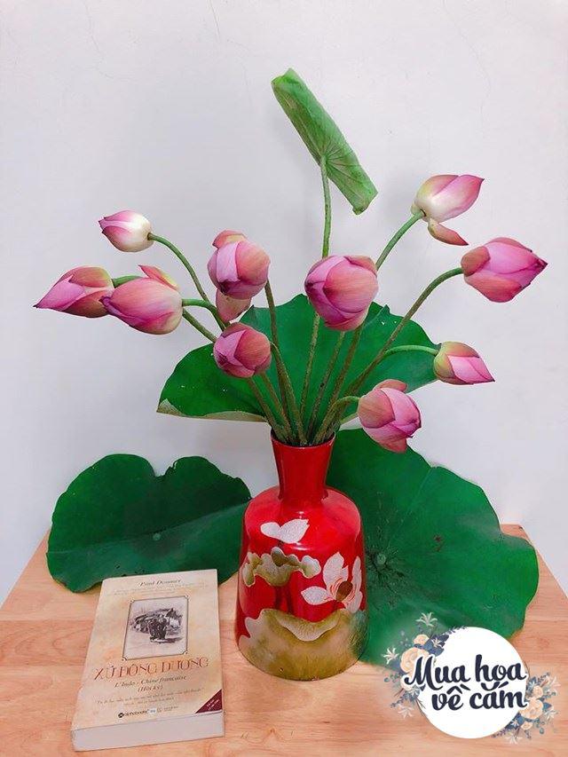 Chi tiền triệu mua hoa về cắm, mẹ Hà Nội bị trêu: “Tiền hoa tốn hơn tiền ăn” - 6 - kythuatcanhtac.com