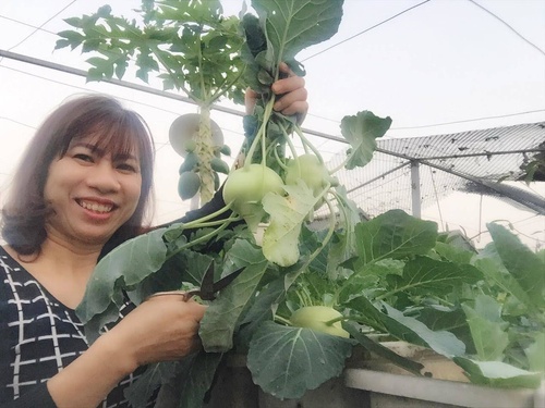Tết ấm của mẹ đảm Hà Nội trồng rau sạch, nuôi gà ngon trên sân thượng bé hin hin - 14 - kythuatcanhtac.com