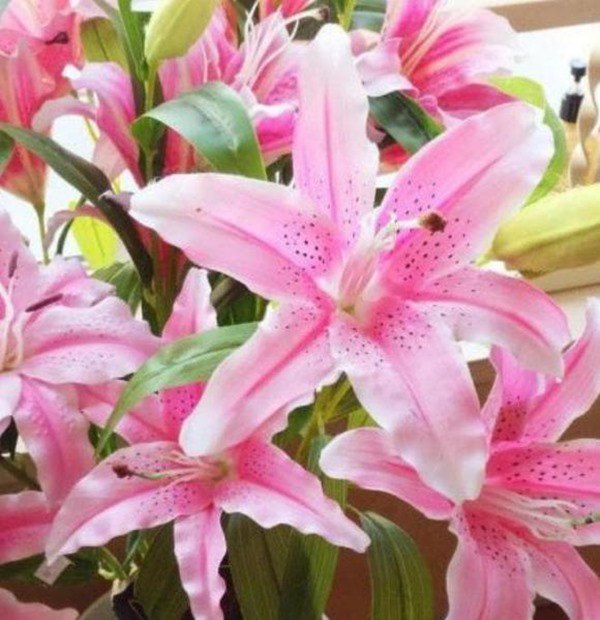 Chọn trồng 4 loại hoa này trên ban công, vừa đẹp, tươi lâu và dễ chịu - 4 - kythuatcanhtac.com