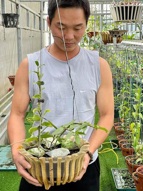 Nghệ nhân Vũ Đỗ Hoàng Tín chia sẻ về hành trình thực hiện đam mê trồng lan - 2 - kythuatcanhtac.com