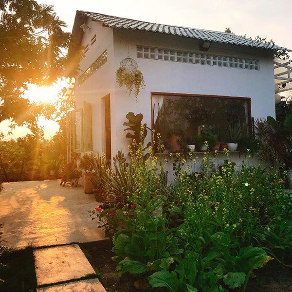 8x Tiền Giang amp;#34;biếnamp;#34; nhà hoang thành nhà vườn đẹp như cổ tích chỉ với hơn 100 triệu đồng - 11 - kythuatcanhtac.com