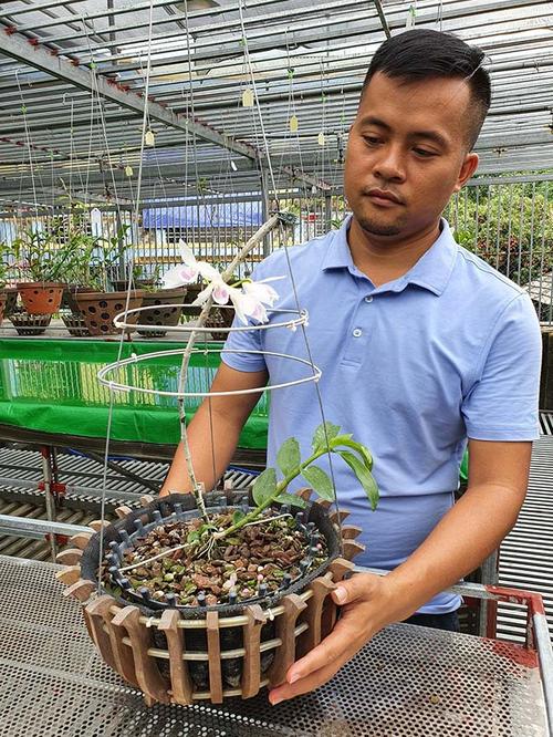 Ông chủ vườn lan 8X Dương Xuân Tú chia sẻ kinh nghiệm chăm lan tốt nhất - 2 - kythuatcanhtac.com
