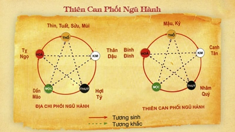 Cach Tinh Thien Can Dia Chi 1280x720 800x450 - kythuatcanhtac.com