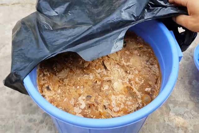 Cách ủ phân bón hữu cơ 6 - kythuatcanhtac.com