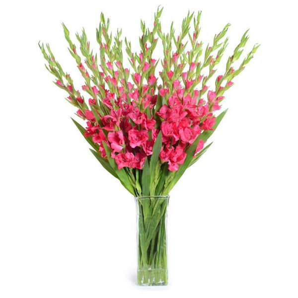 Cách cắm hoa lay ơn để bàn thờ đẹp và tươi lâu ngày Tết - 9 - kythuatcanhtac.com