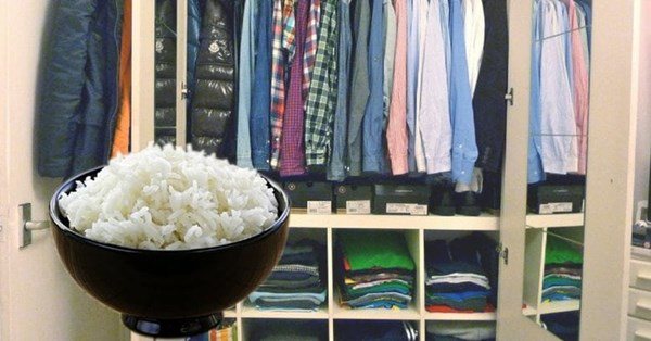 Nhìn hàng xóm đặt nửa bát gạo trong tủ quần áo, tôi hối hận vì không biết nó sớm hơn - 5 - kythuatcanhtac.com