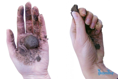 Giữ quả bóng đất bằng một tay và bóp nó để tạo thành một dải đất ướt - kythuatcanhtac.com